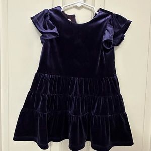 Purple Velvet Dress